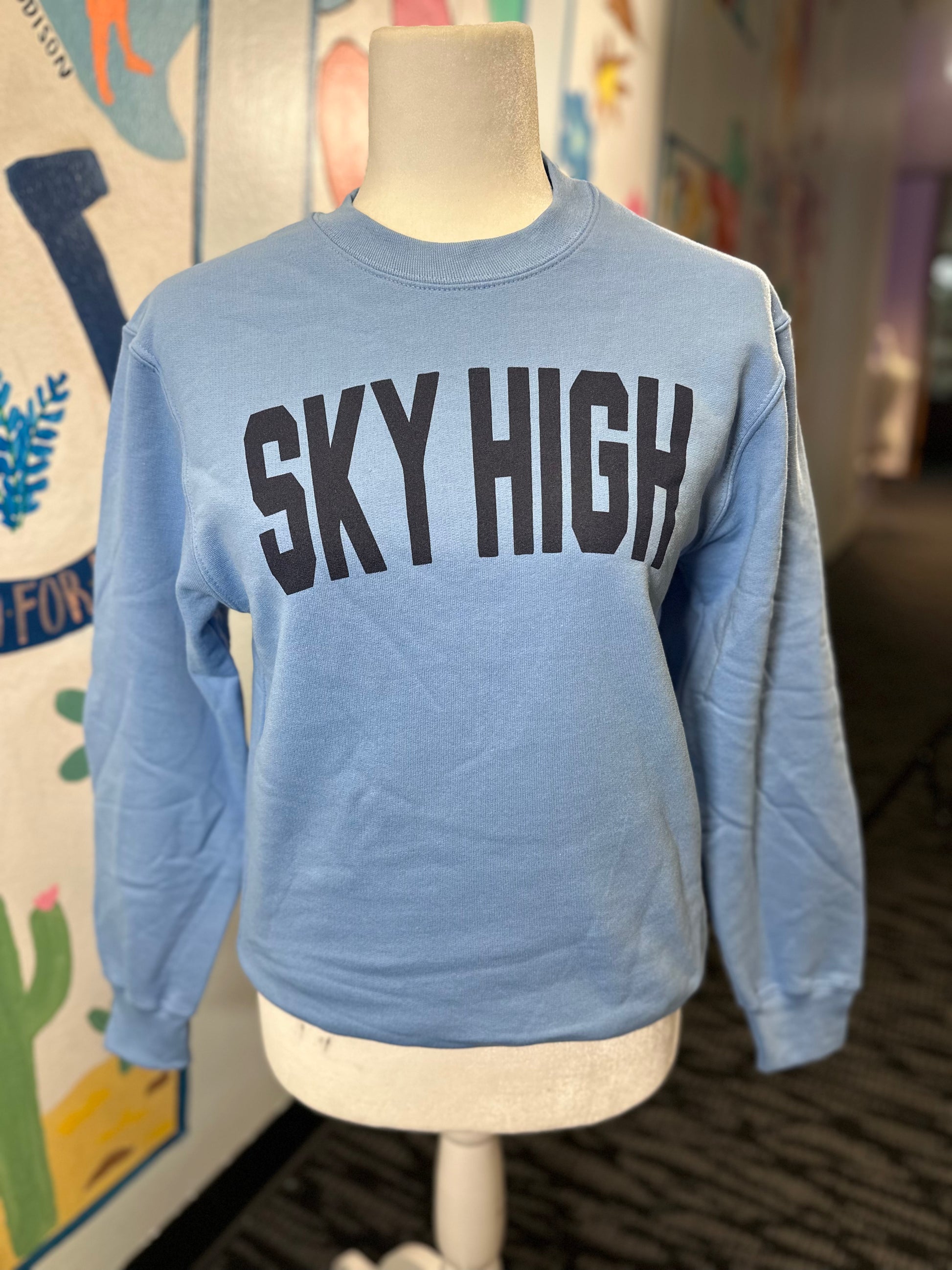 Light Blue Sweatshirt (YOUTH)